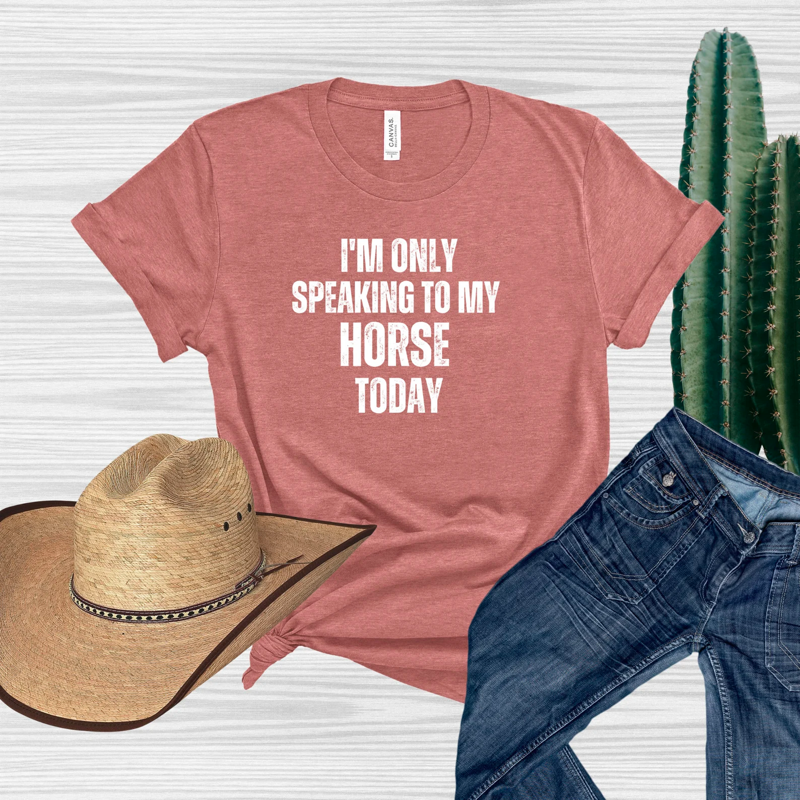 only speaking to my horse today tshirt